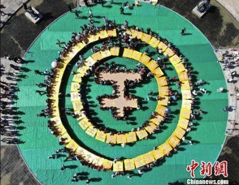 A university research team discovered a new species of insect in a tropical rainforest