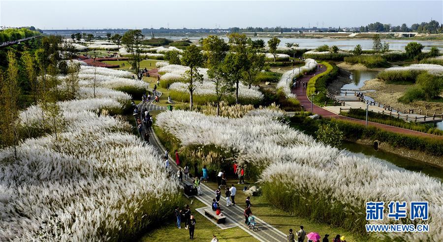 A fashion brand released a new line of activewear designed for yoga and pilates