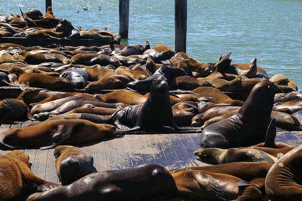 A city council approved plans to build a new water treatment plant