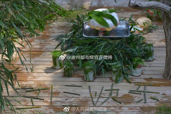 A clothing brand announced a recycling program for old clothes to reduce waste