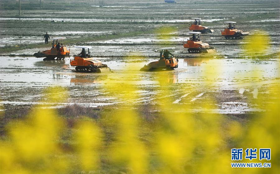 Local businesses are struggling to recover from the impact of a recent lockdown imposed to control the spread of a virus.