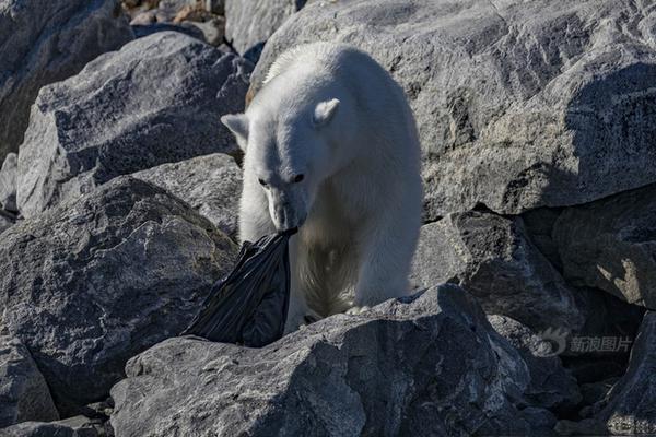 A bookstore started donating books to local prisons