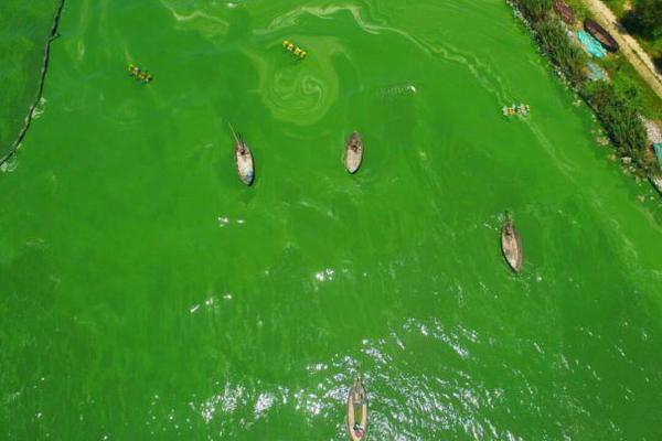 The government launched a campaign to encourage people to get vaccinated against a seasonal illness, offering free shots at local clinics.