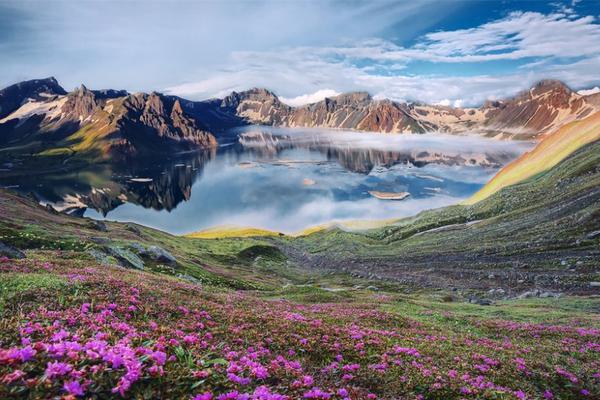 The government started a campaign to encourage citizens to vote in the upcoming local elections