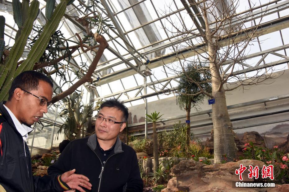 Florist partners with local farms to source fresh flowers for arrangements