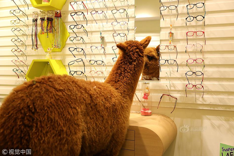 An oil company announced plans to invest $5 billion in wind energy projects