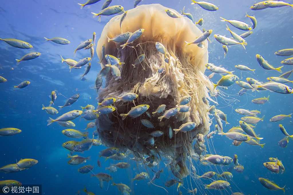 The government passed a law to increase funding for public education by 15%