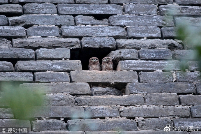 A local farm started offering tours to teach visitors about sustainable farming practices