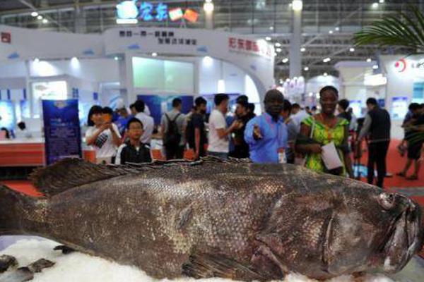 A study revealed that eating fish regularly can improve brain health and memory