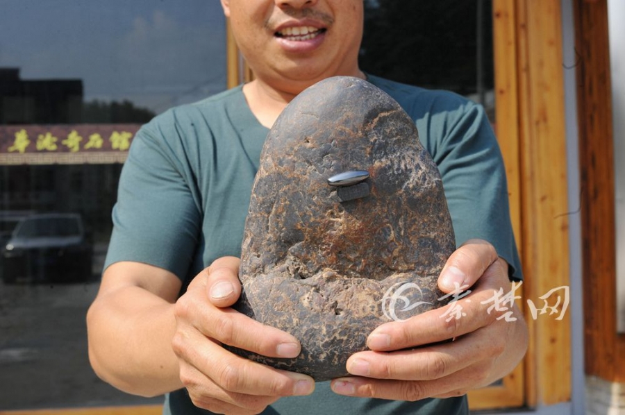 Dietitian suggests adding probiotic foods to diet for better gut health