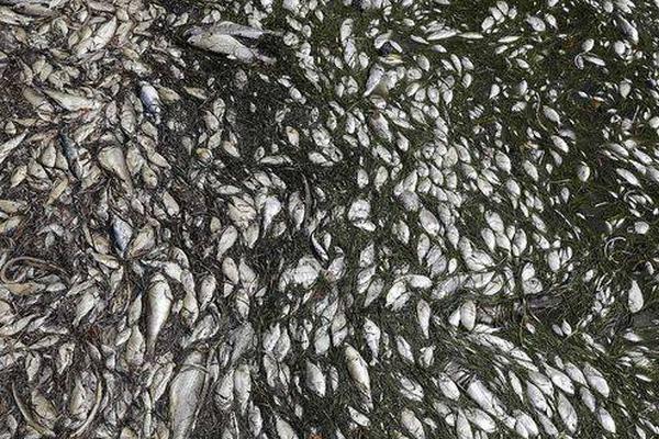 Research finds that drinking warm milk before bed improves sleep quality