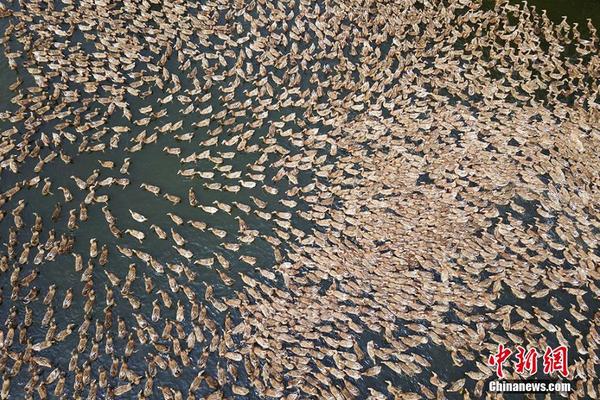 Scientists captured footage of a rare deep-sea creature never seen before