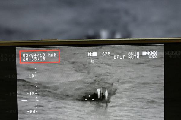 Volunteers planted 15000 trees in a deforested area as part of a national reforestation project