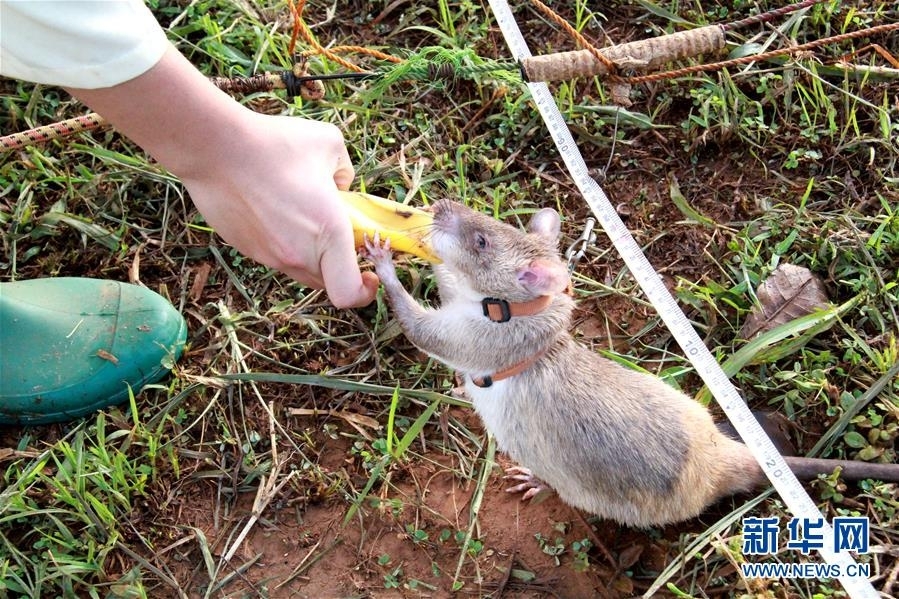 A clothing brand announced it will donate 10% of its sales to environmental charities