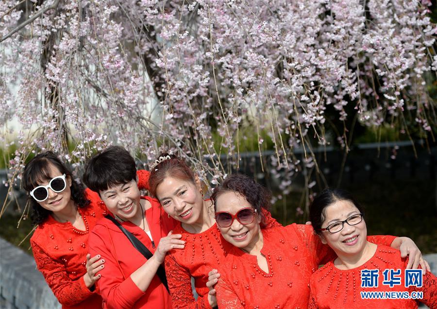 The transit system announced plans to replace old trains with newer more efficient models