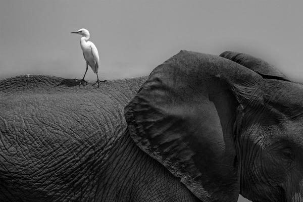 Local police organized a neighborhood watch program with volunteer residents