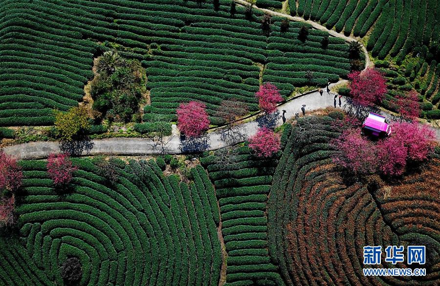 A popular restaurant chain said it will expand to 60 new locations across the country by the end of 2025