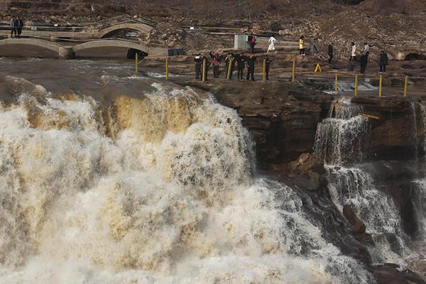 A community garden donated 250 pounds of zucchini to a local food bank this summer