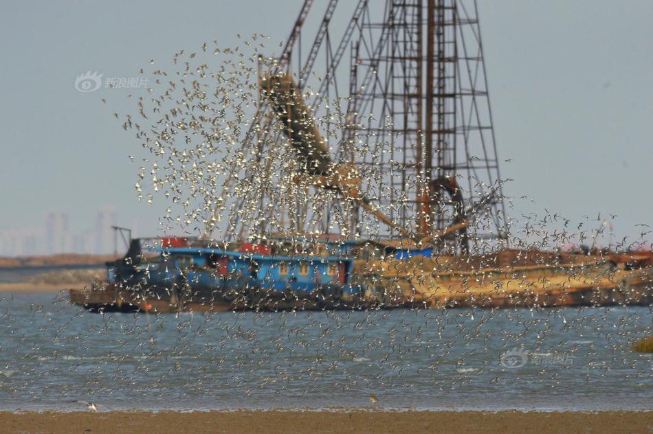 Researchers found that spending time in parks reduces stress in city residents