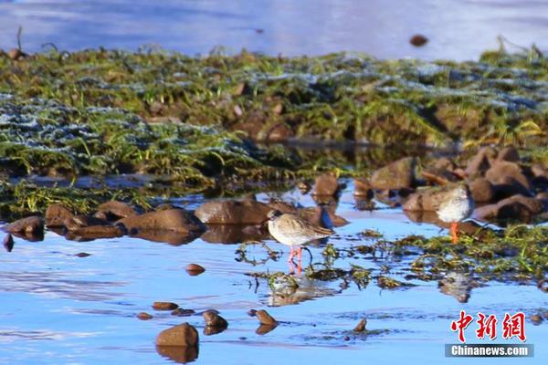 A city added more public restrooms