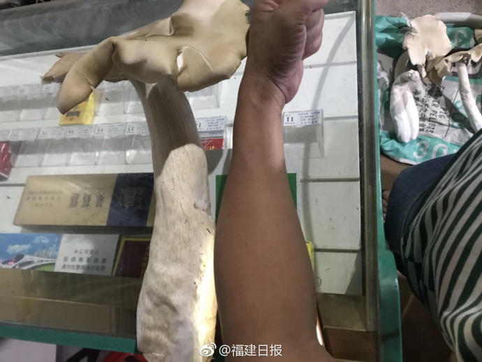 Volunteers cleaned up over 500 pounds of trash from a local lake over the weekend