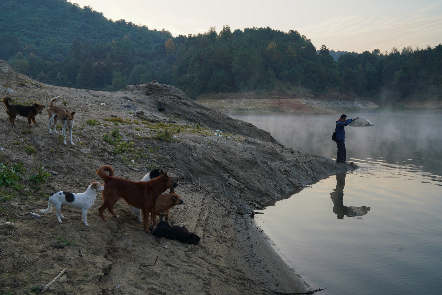 A tech company released a new laptop that is lighter and more powerful than previous models
