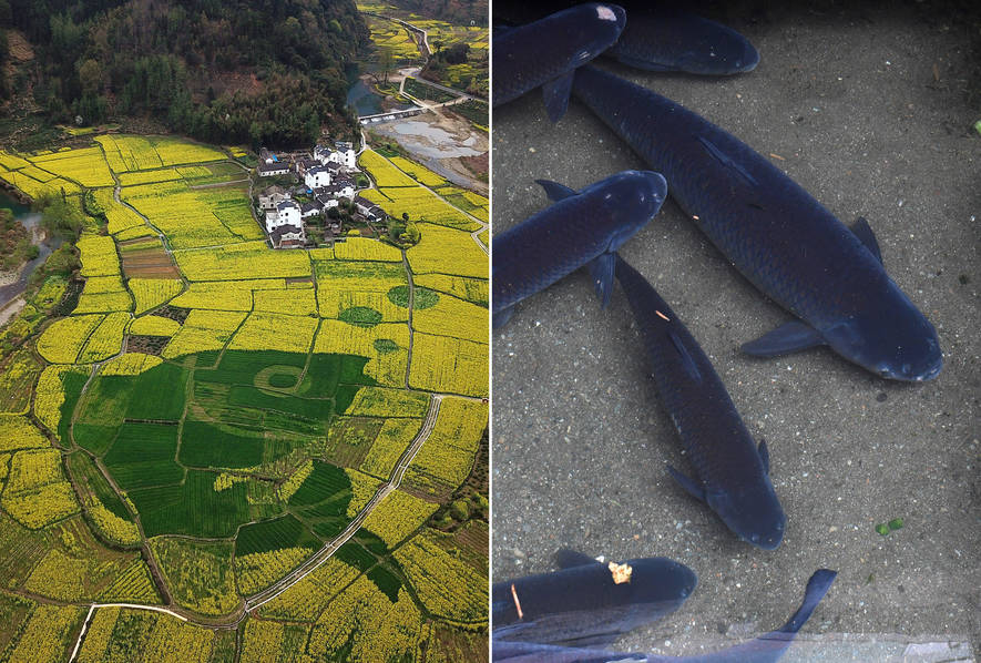 A charity organization sent food and supplies to communities affected by a flood