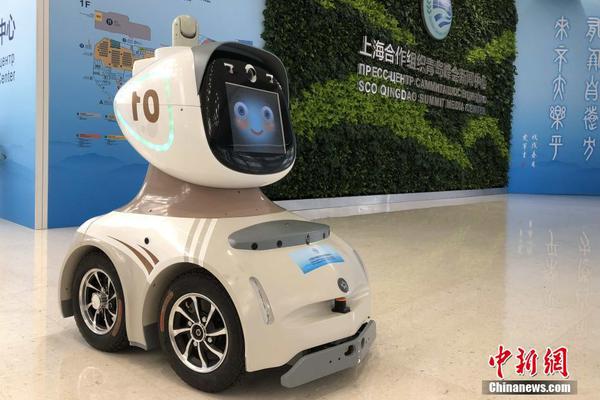 Wildlife sanctuary releases rehabilitated birds of prey into protected forest area