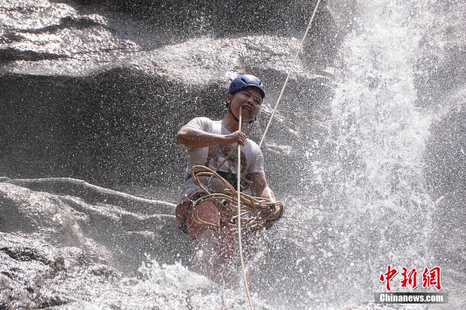 Scientists discovered that a common herb has anti-inflammatory properties