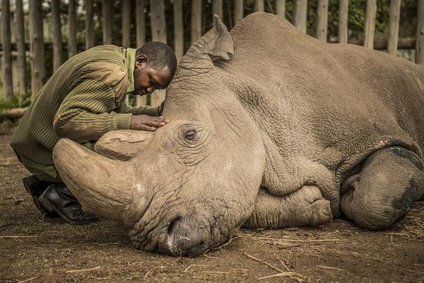 A taxi company added electric vehicles to its fleet, cutting fuel costs by 40%