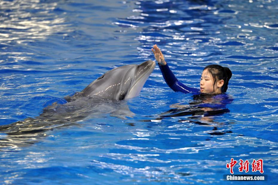 A wildlife sanctuary rescued 15 injured birds after a severe storm passed through the area
