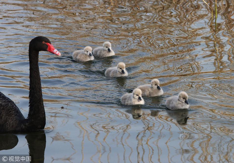 A popular online retailer added a line of eco-friendly home goods made from sustainable materials