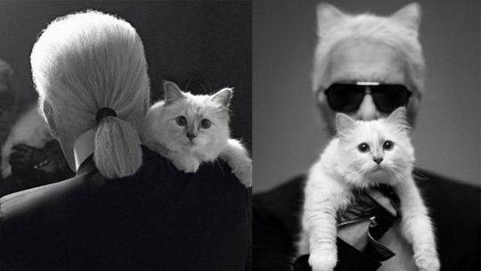 A study found that regular yoga practice can improve flexibility and reduce back pain in office workers