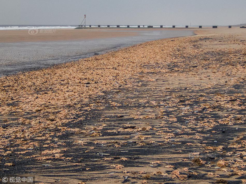 A famous singer performed a surprise concert for healthcare workers at a hospital