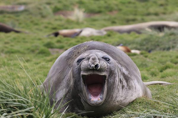 A coffee chain announced it will offer free refills for customers with reusable cups