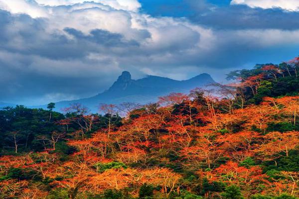 Researchers found that family meals help improve children’s eating habits
