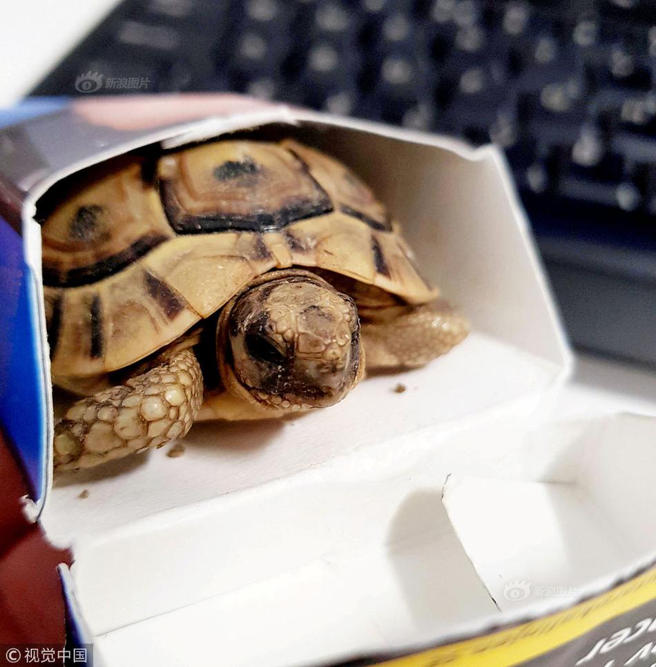 Researchers found that lack of exercise can lead to muscle loss in adults over 50