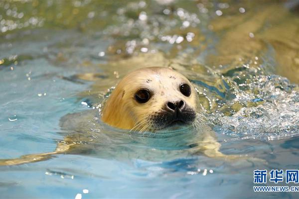 A new bike-sharing program launched in the city with 1200 bikes available at 60 stations