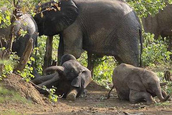 Tennis tournament attracts top-ranked players from 18 countries