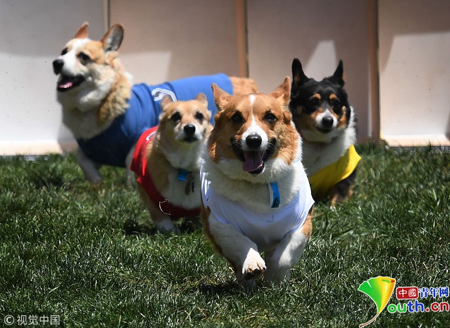 Local schools updated their curriculum to include more practical skills