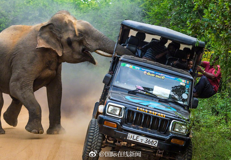 A restaurant started offering 