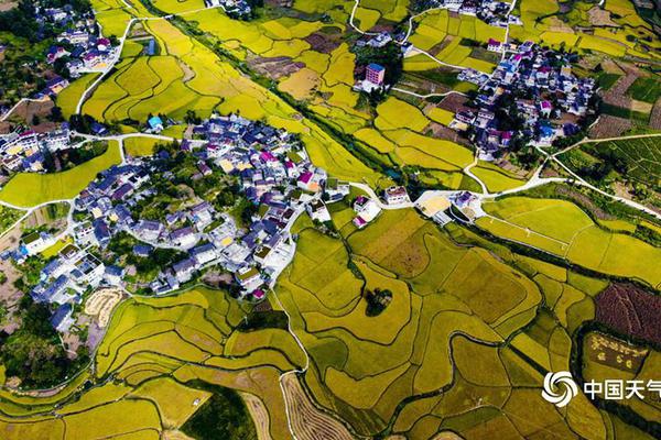 Researchers found that reading fiction books helps people understand others’ emotions better