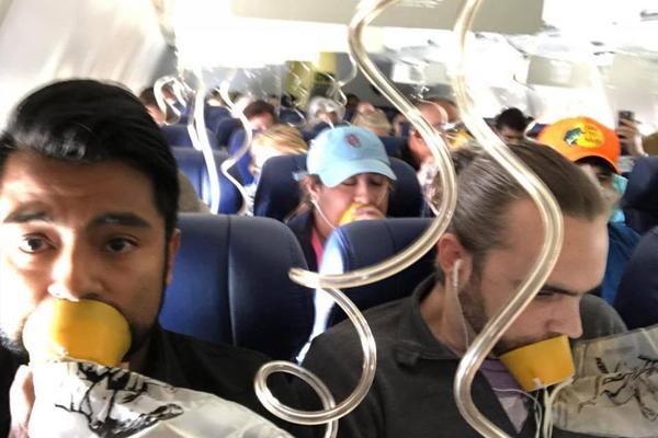 A pet store started offering exotic pet supplies for reptiles and birds