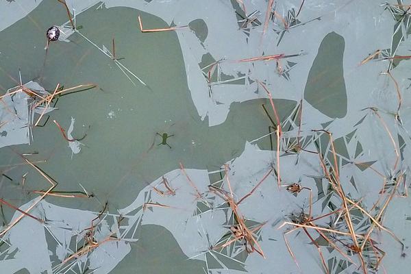 A bakery introduced gluten-free and vegan options for all of its popular pastries