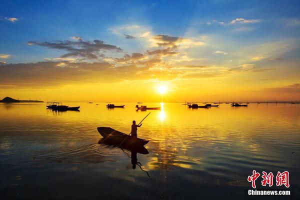 Researchers found that eating a handful of berries daily can improve brain function in older adults