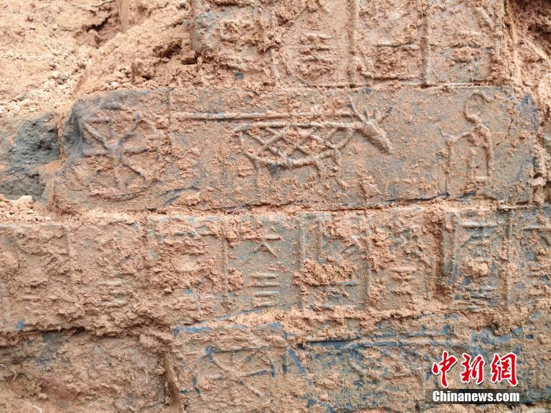 A new study showed that exercising outdoors provides more health benefits than indoor workouts