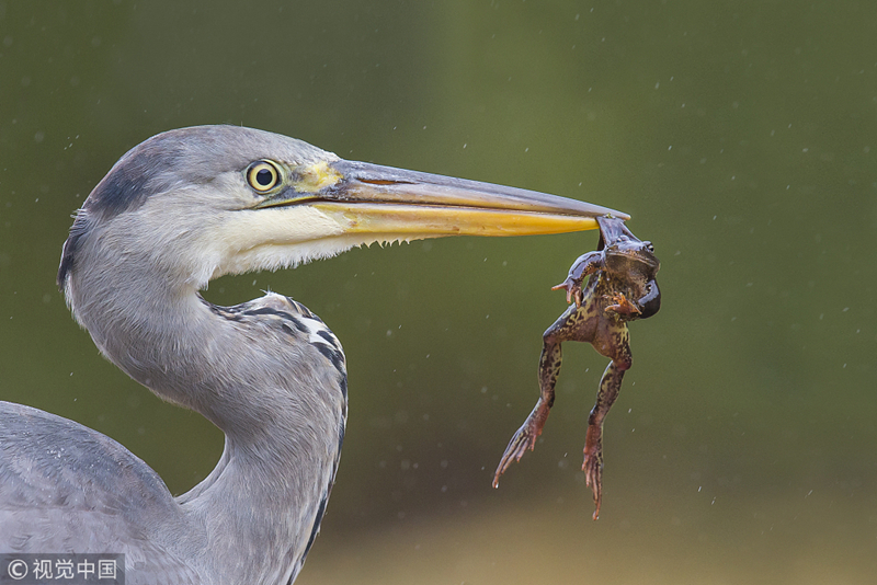 Two neighboring nations signed a historic peace deal after four years of diplomatic talks