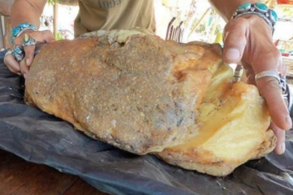 A bookstore expanded its collection of books in foreign languages