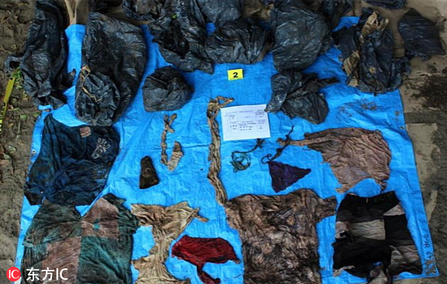 A museum displayed ancient Greek artifacts on loan from a museum in Athens