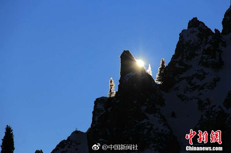 Local farmers protested against low crop prices demanding government support to cover production costs